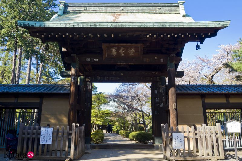 chùa mèo chiêu tài Gotokuji